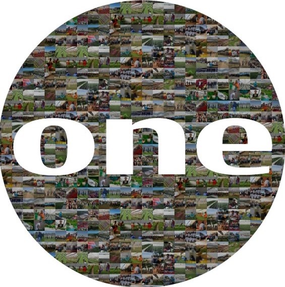 Galeriebild 1