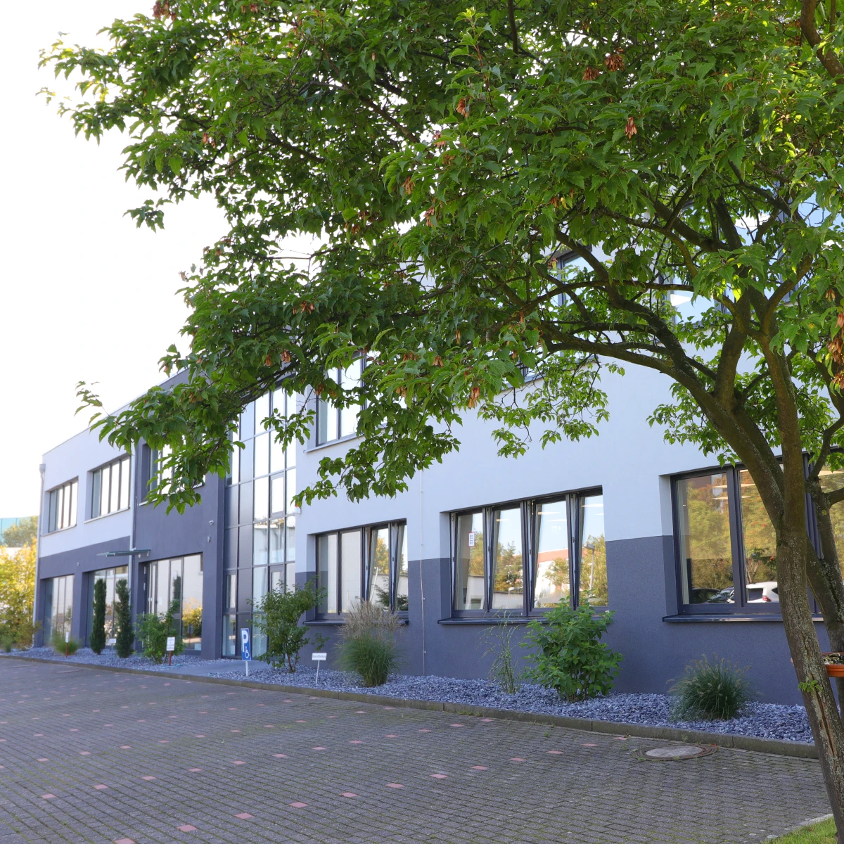Galeriebild 1