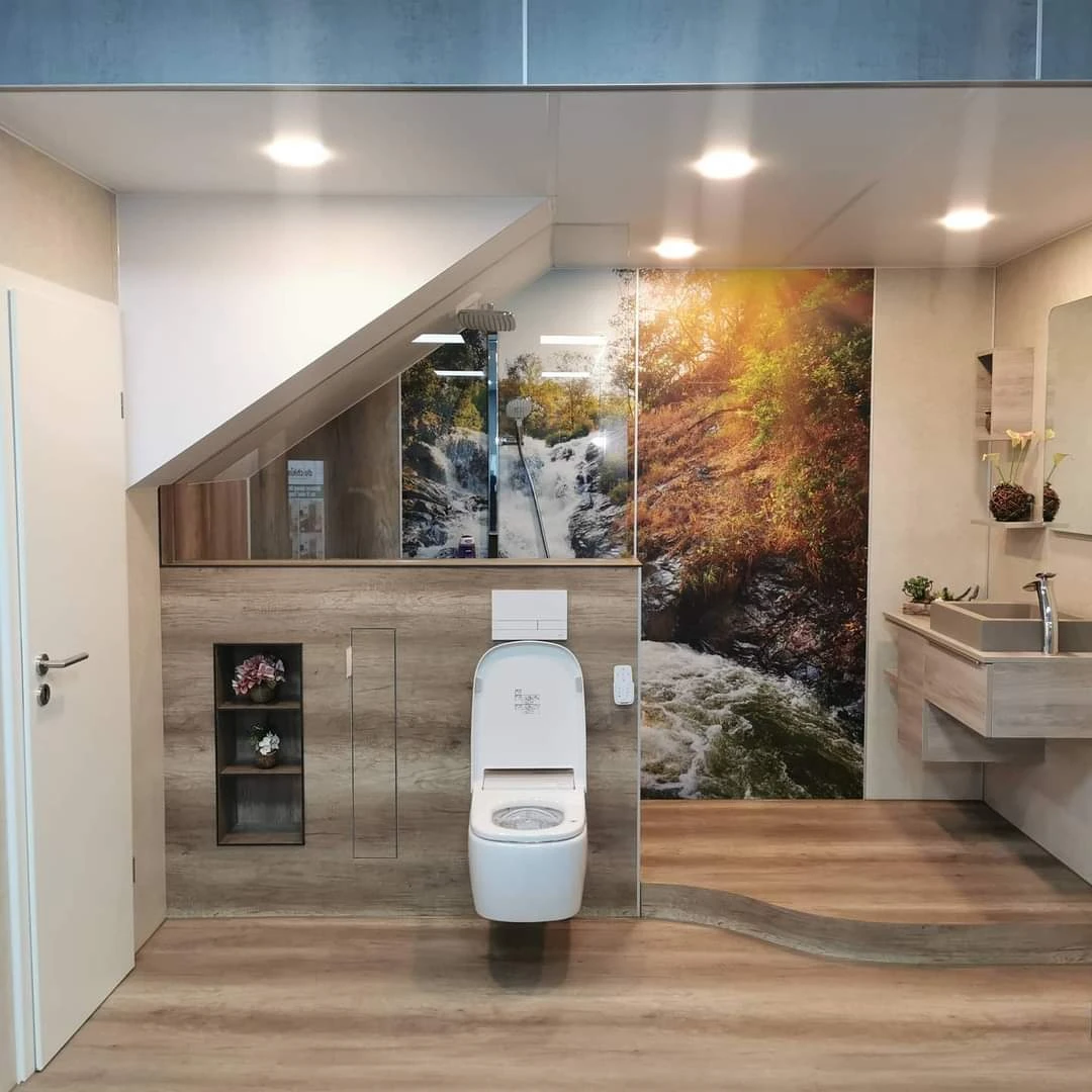 Teilsanierung Dusche und WC
