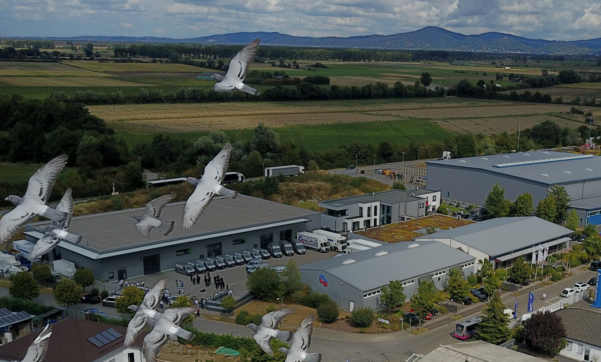 Firmengebäude von der Vogelperspektive