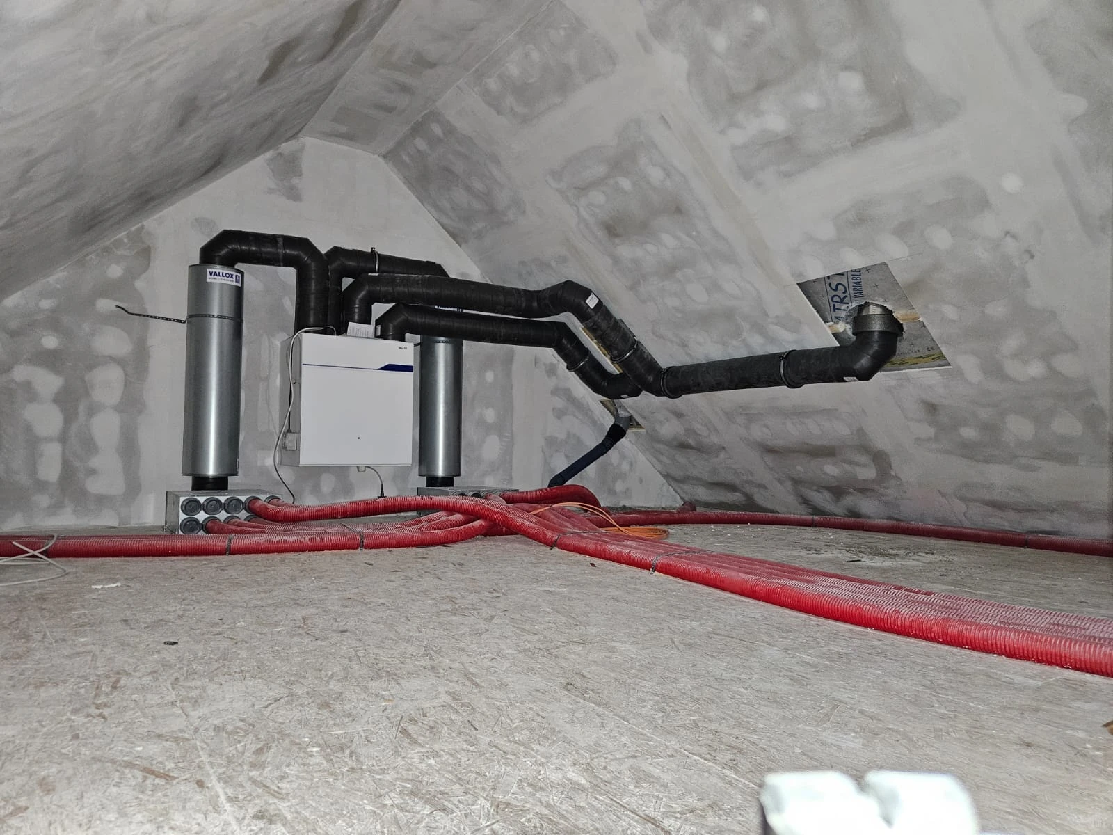 Galeriebild 3