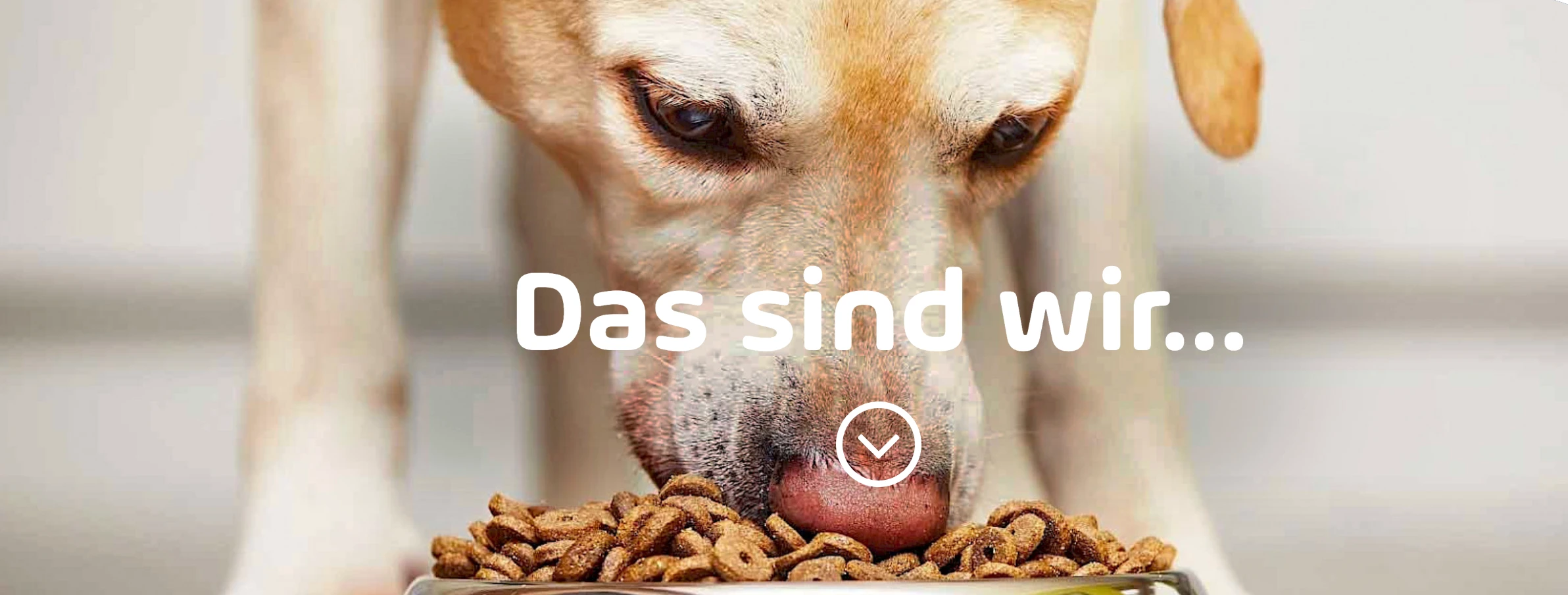 Galeriebild 1