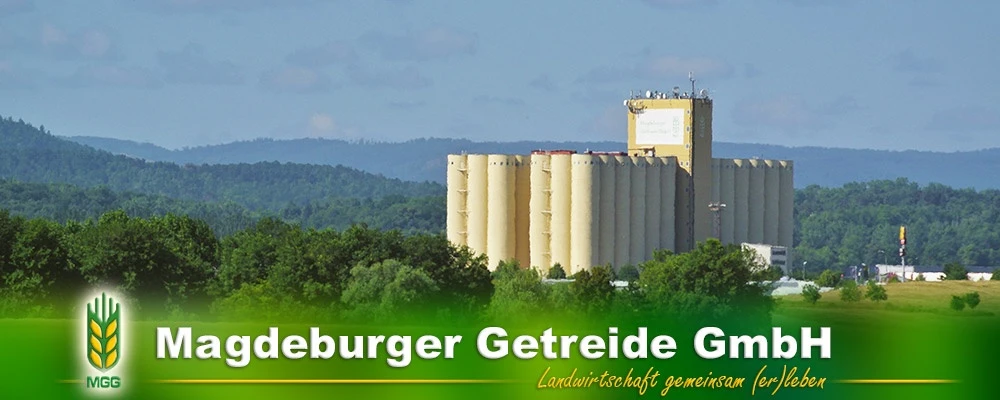 Galeriebild 4