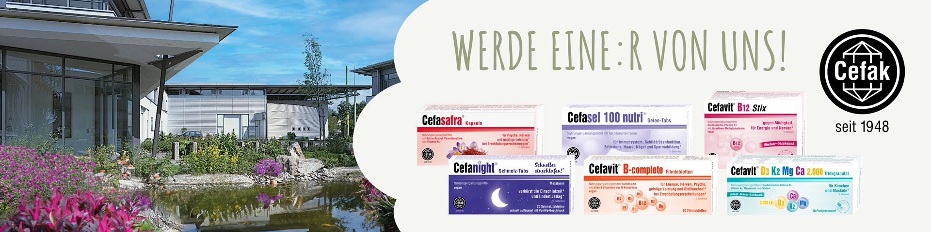 Galeriebild 1