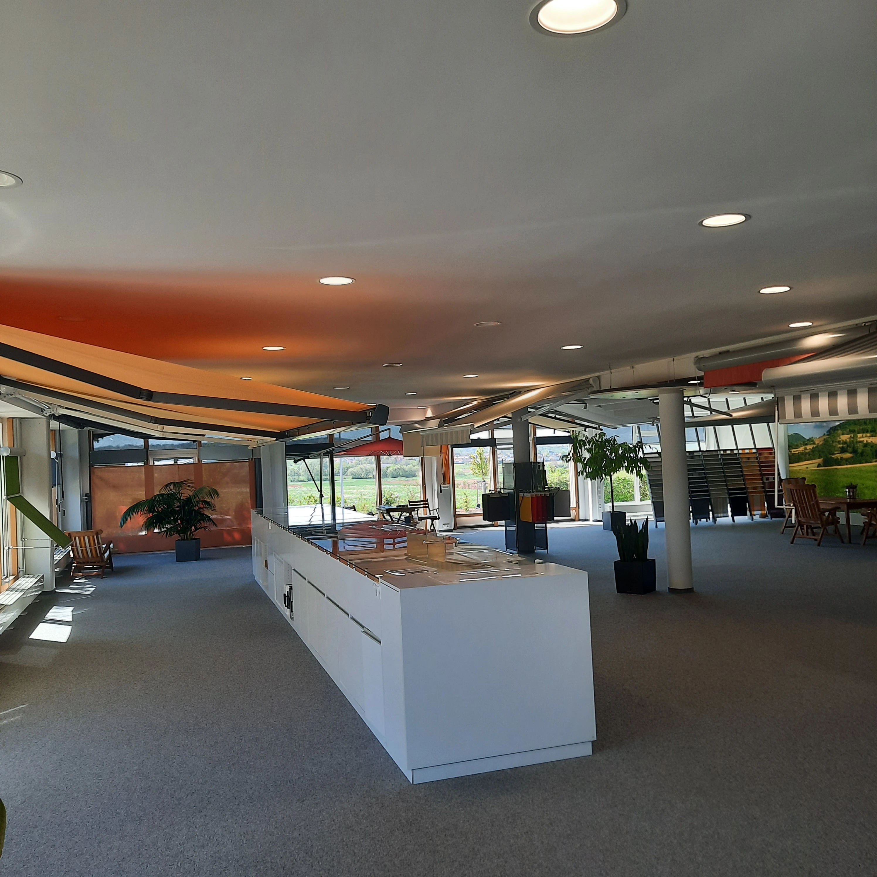 Galeriebild 2