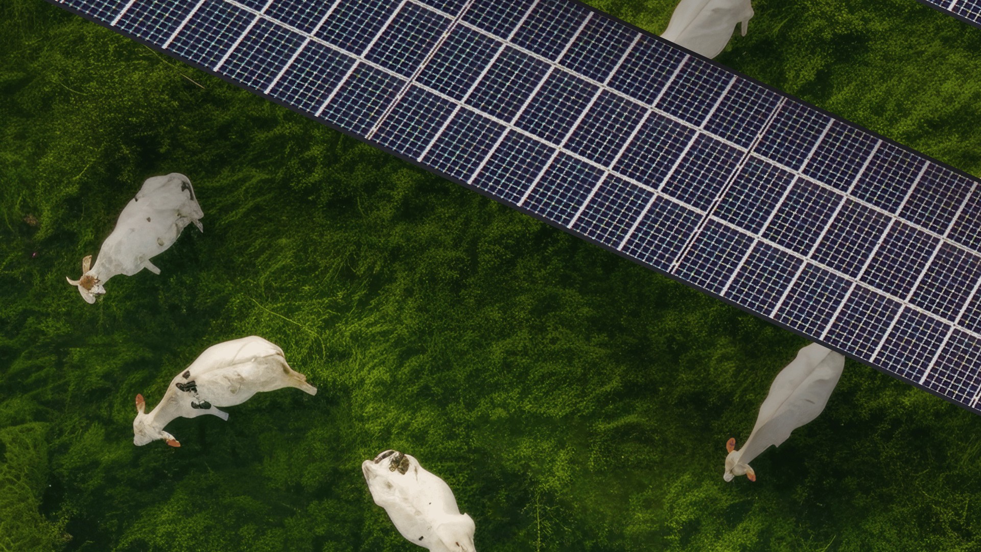 Firmenbanner PowerUs