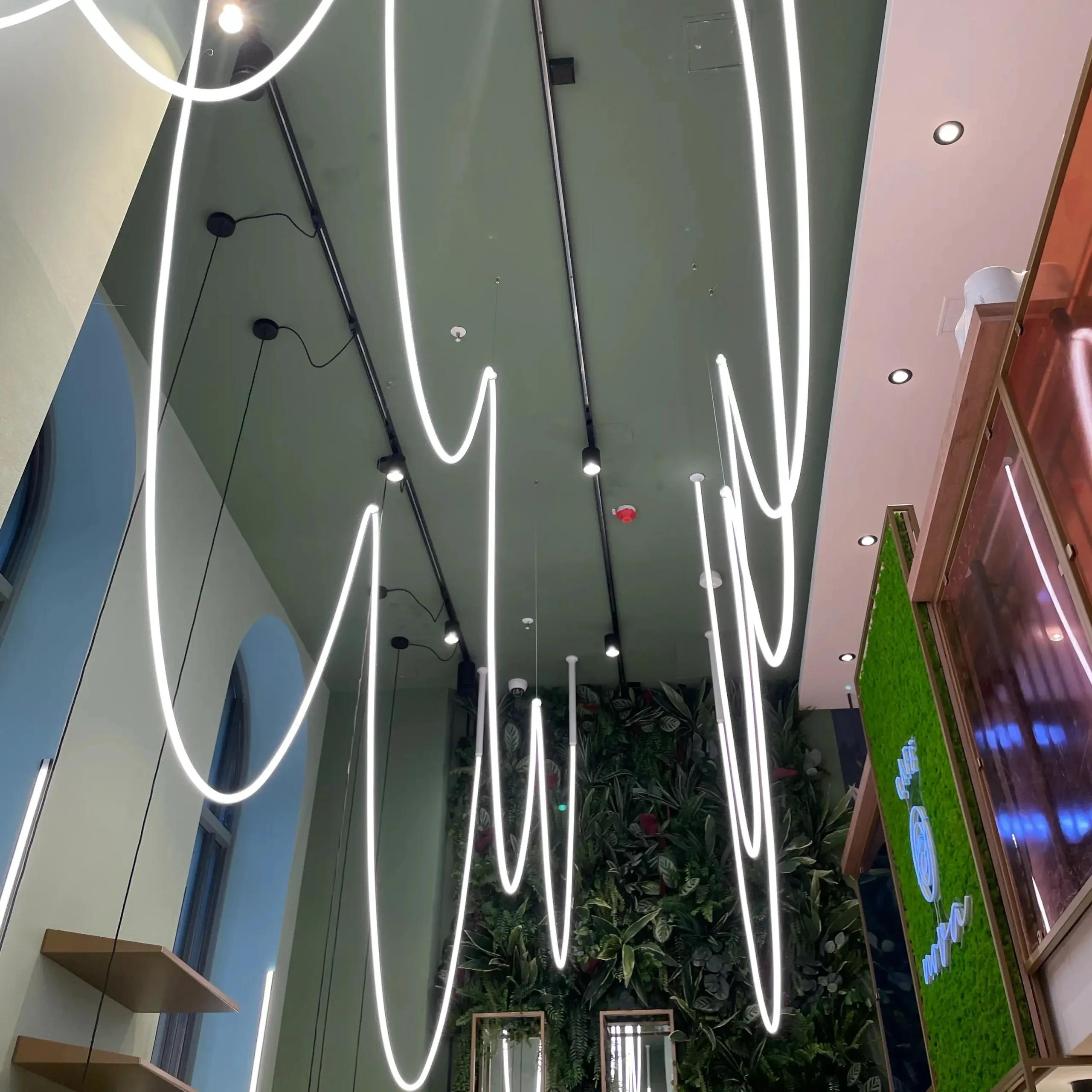 Cafe Nova