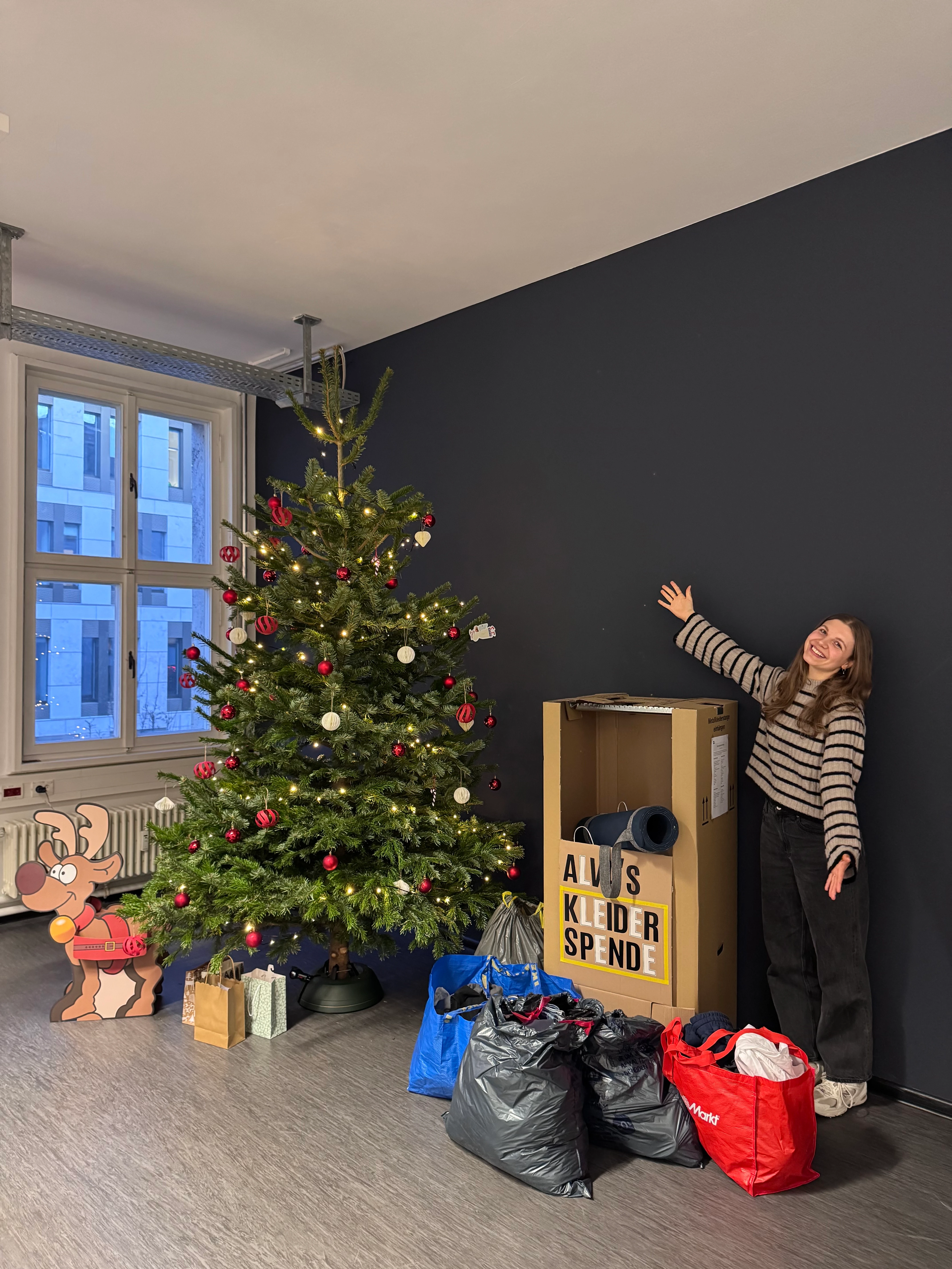 Galeriebild 4