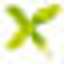 maXsi Ausbau GmbH logo