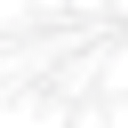 Avatar logo