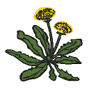 Gut Sambach gGmbH logo