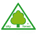 Logo von city forest-Baumdienst