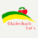 Stadtmarketing-Energie-Bäder Gladenbach GmbH logo