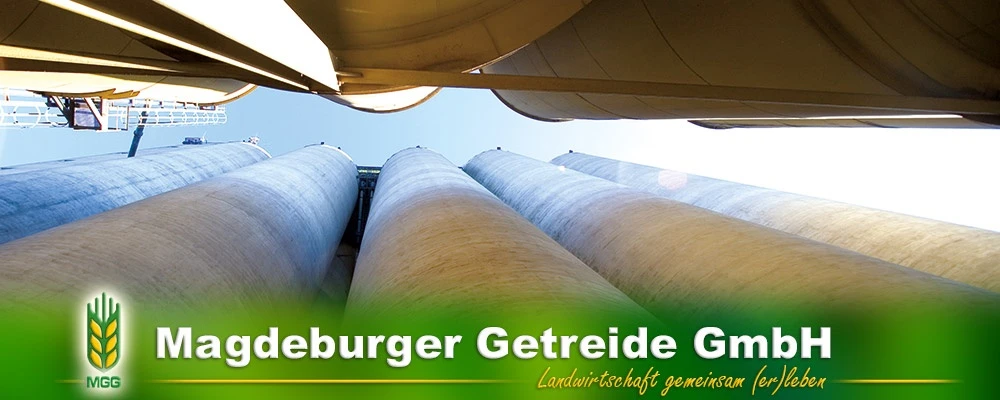 Galeriebild 3