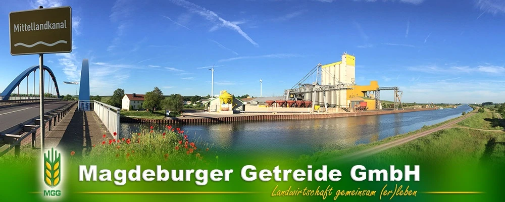 Galeriebild 1