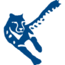 BRT Automotive AG logo